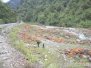 海螺溝、燕子溝、木格措、跑馬山五日游