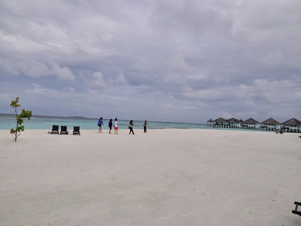 _DSC0801.jpg